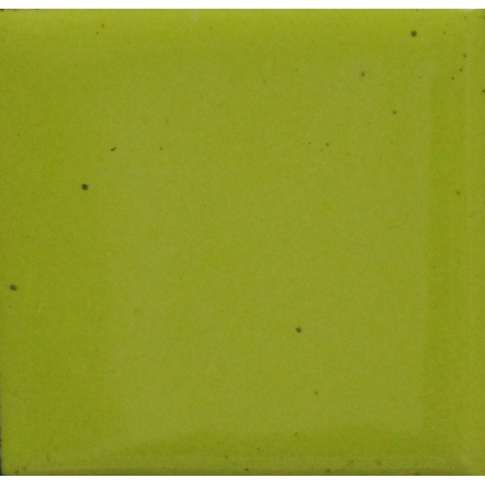 Opaque Enamel Power 25g - Bitter Green