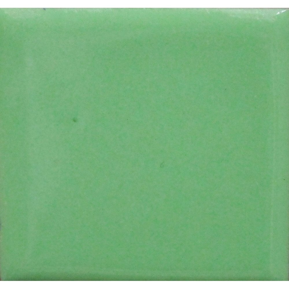 Opaque Enamel Powder 25g - Pea Green