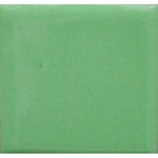 Opaque Enamel Powder 25g - Pea Green