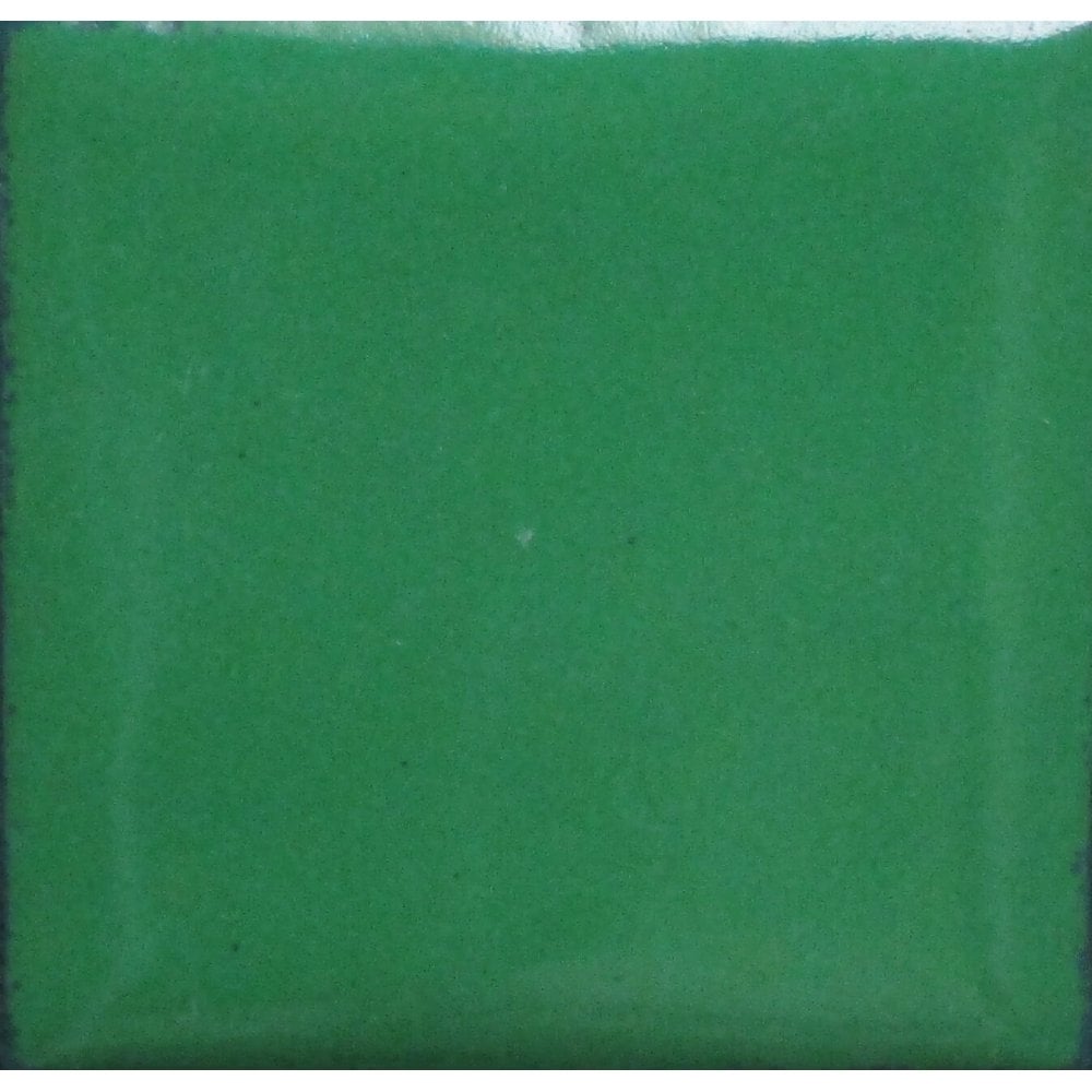 Opaque Enamel Powder 25g - Hunter's Green