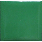 Opaque Enamel Powder 25g - Hunter's Green