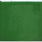 Opaque Enamel Power 25g - Jungle Green