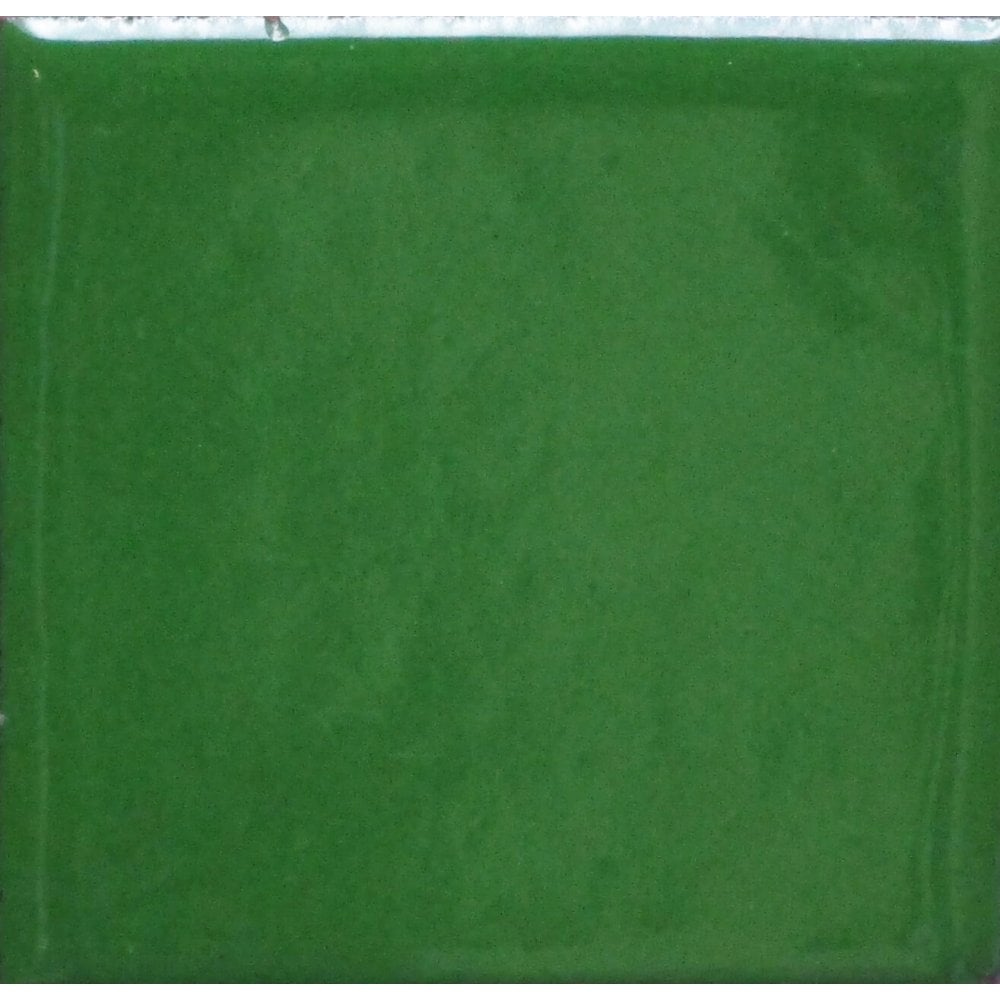Opaque Enamel Power 25g - Jungle Green