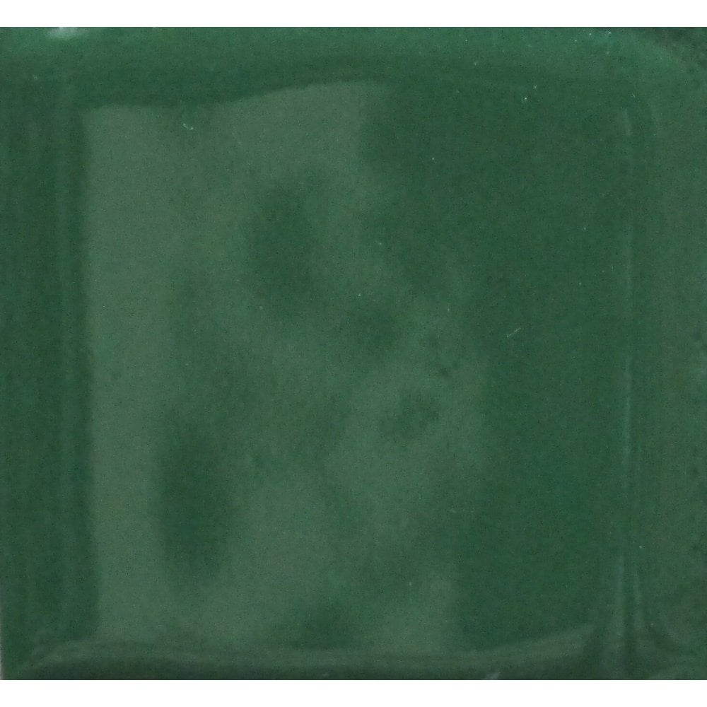 Opaque Enamel Power 25g - Mistletoe Green