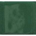 Opaque Enamel Power 25g - Mistletoe Green