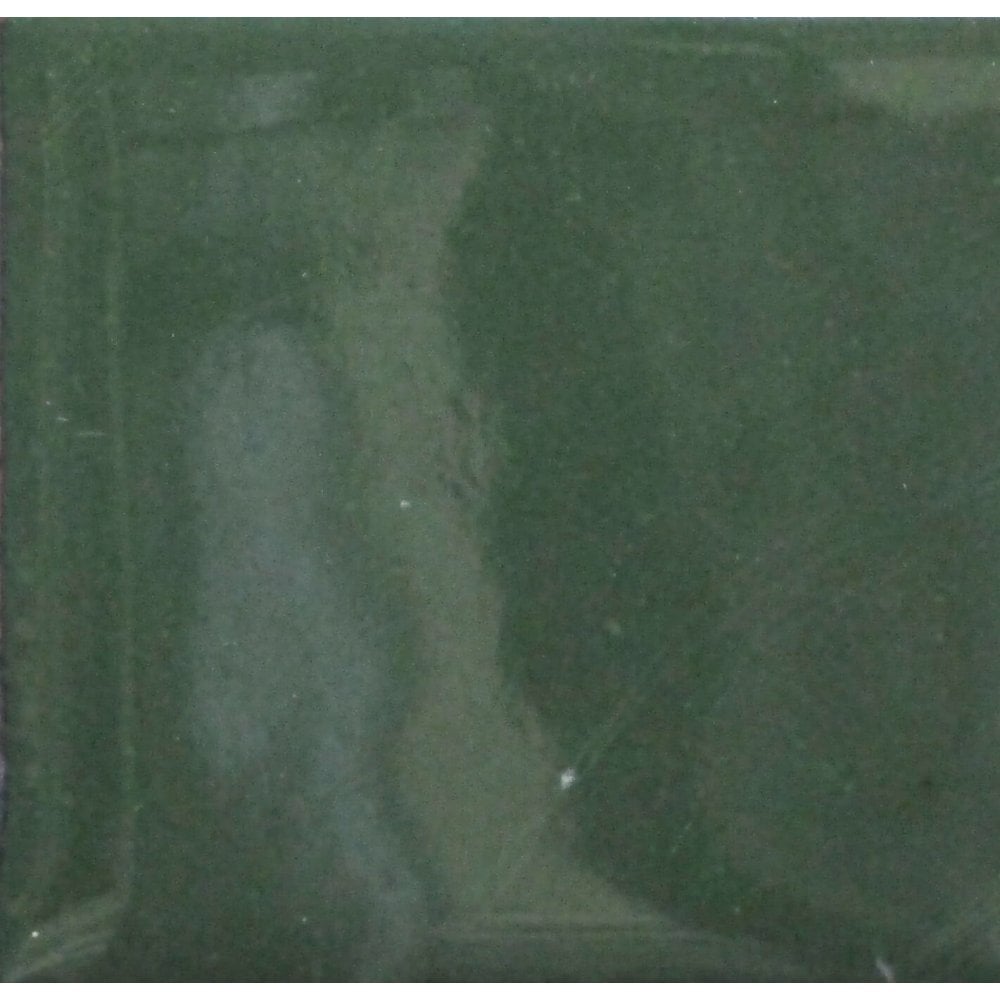 Opaque Enamel Powder 25g - Alpine Green