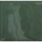 Opaque Enamel Powder 25g - Alpine Green