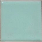 Opaque Enamel Power 25g - Robin's Egg Blue