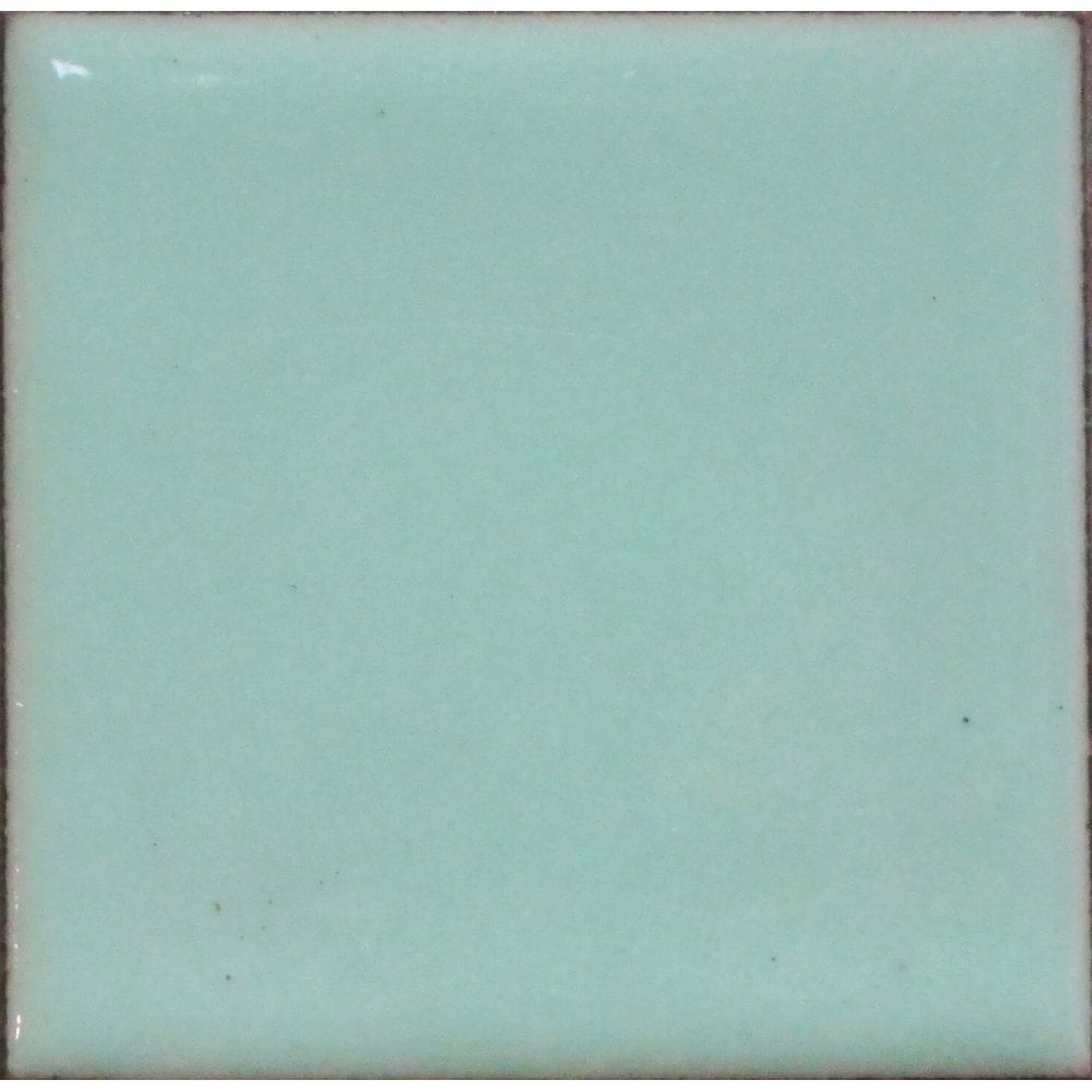 Opaque Enamel Power 25g - Robin's Egg Blue