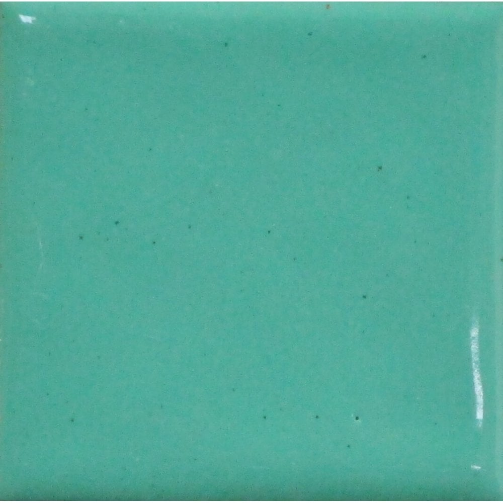 Opaque Enamel Powder 25g - Mint Green
