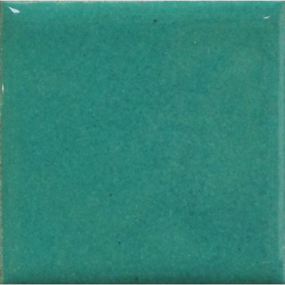 Opaque Enamel Powder 25g - Spruce Green