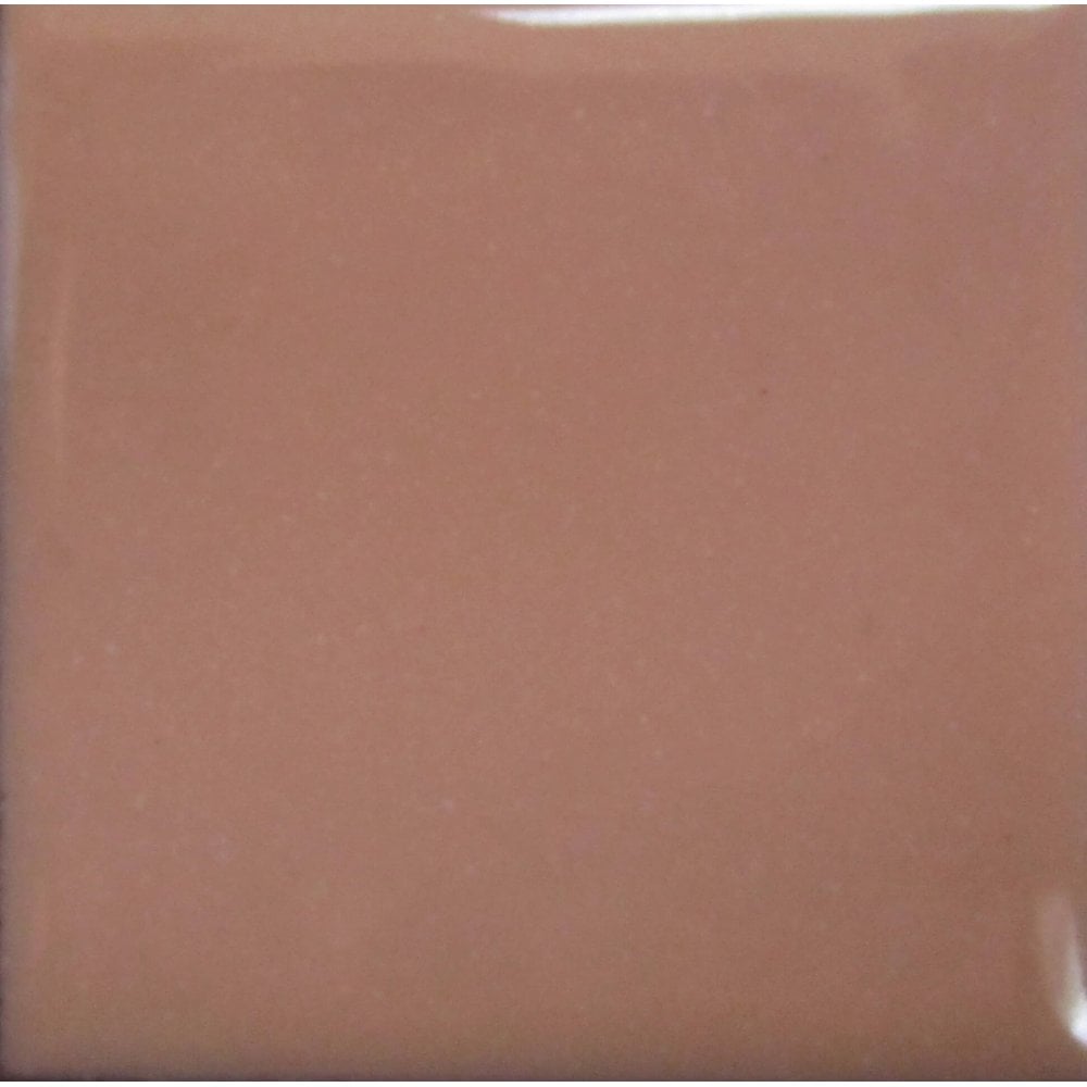Opaque Enamel Power 25g - Tallow Pink