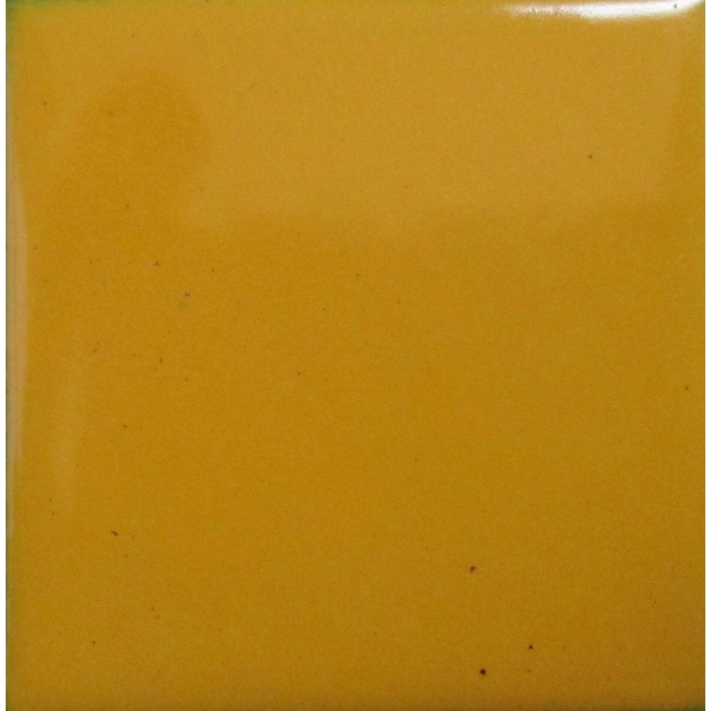 Opaque Enamel Power 25g - Goldenrod Yellow