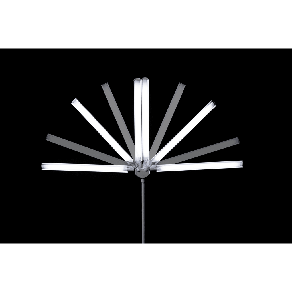 DuoPro Table Lamp