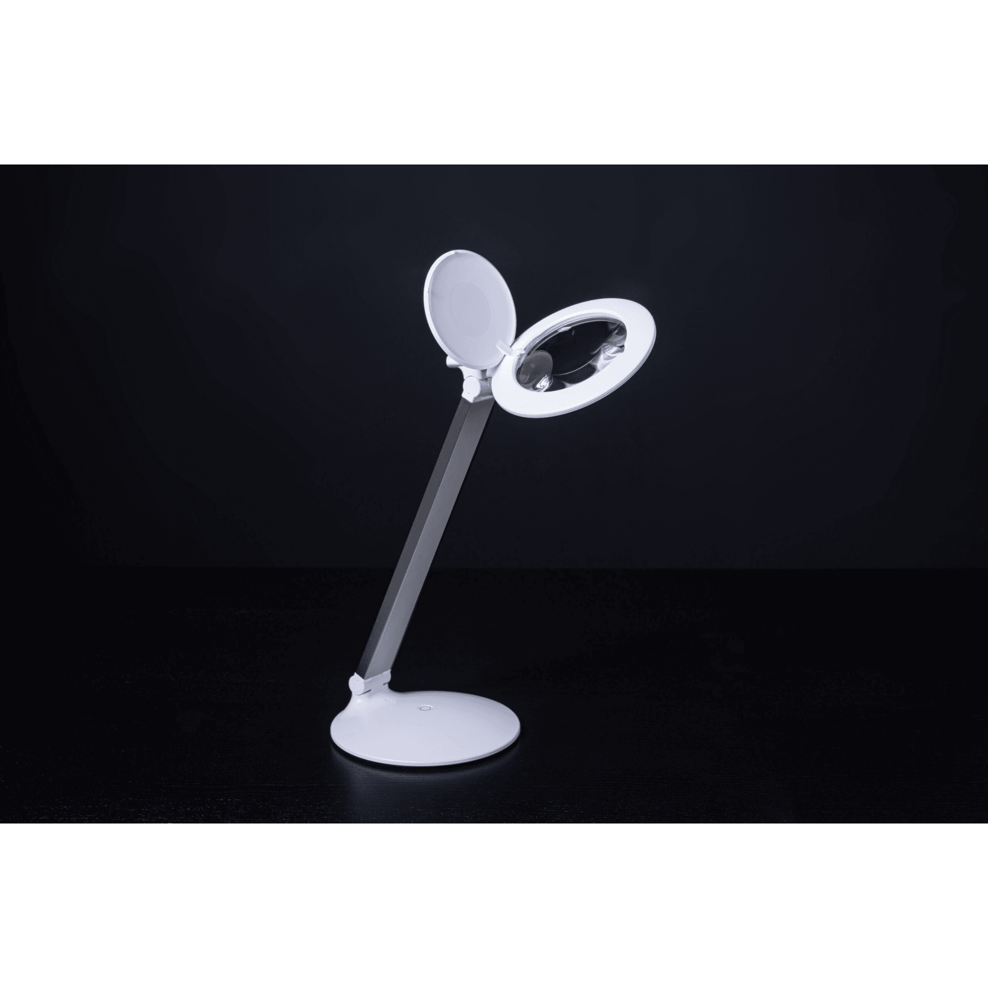 Halo Go 2 Portable Magnifier Lamp