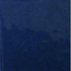 Opaque Enamel Powder 25g - Bluish Black