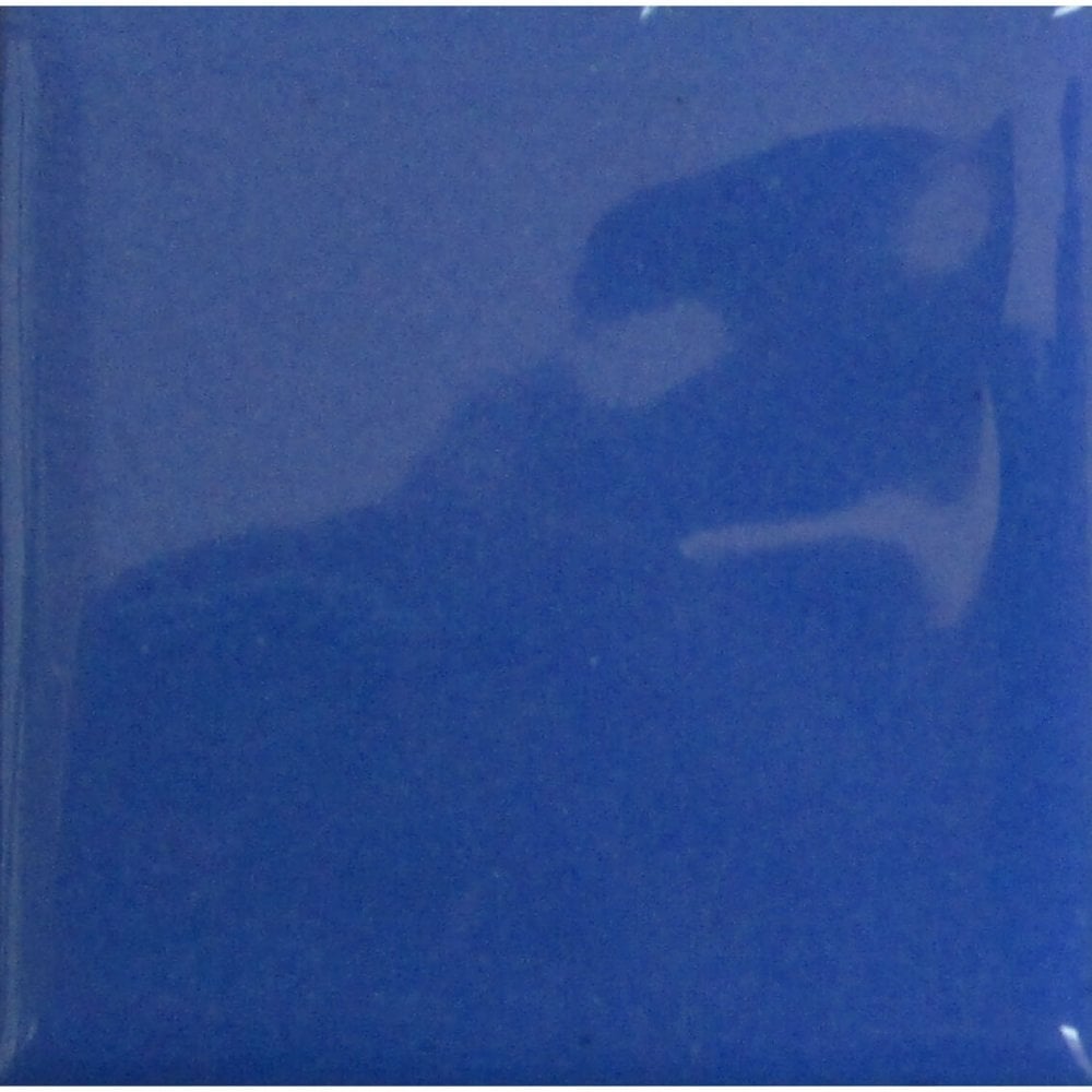 Opaque Enamel Power 25g - Harvest Blue
