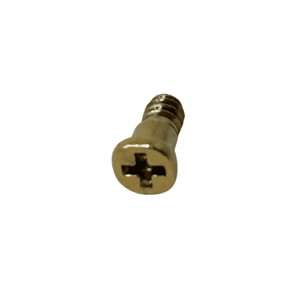 Casio Screw 10273040