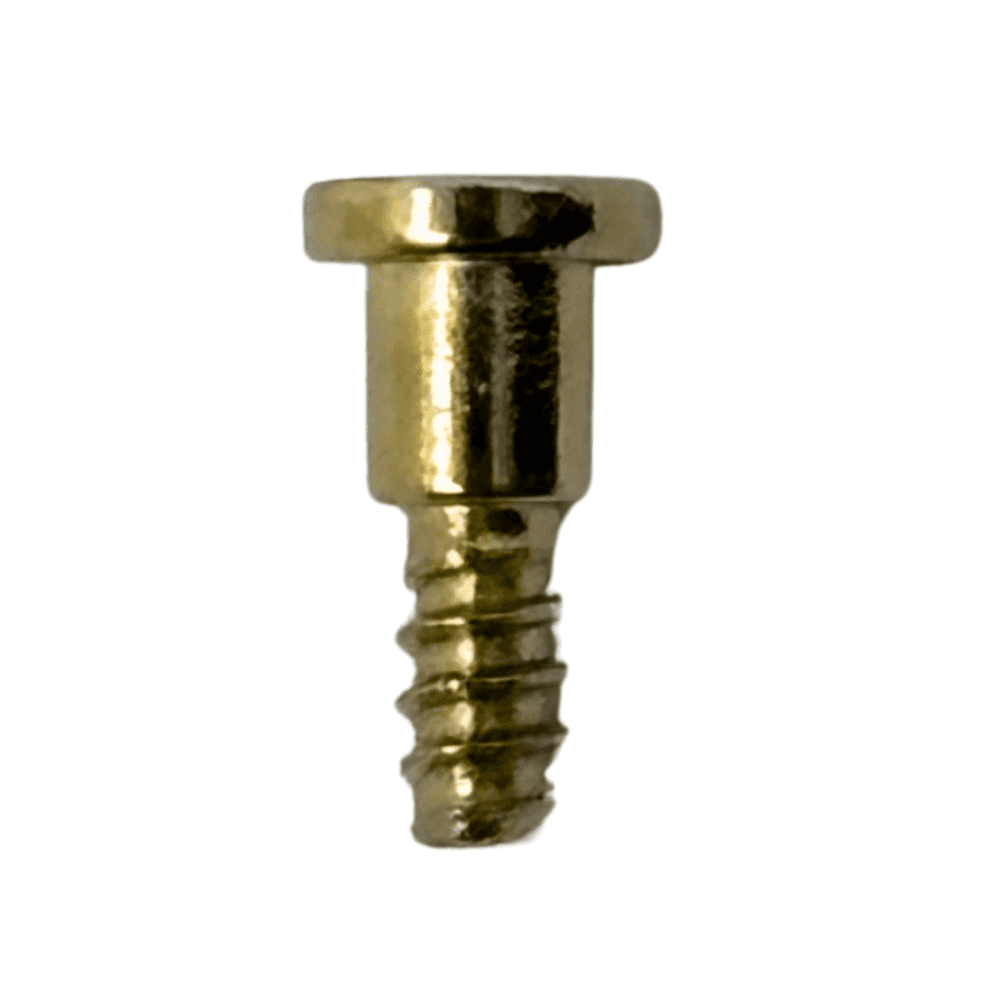 Casio Screw 10202418