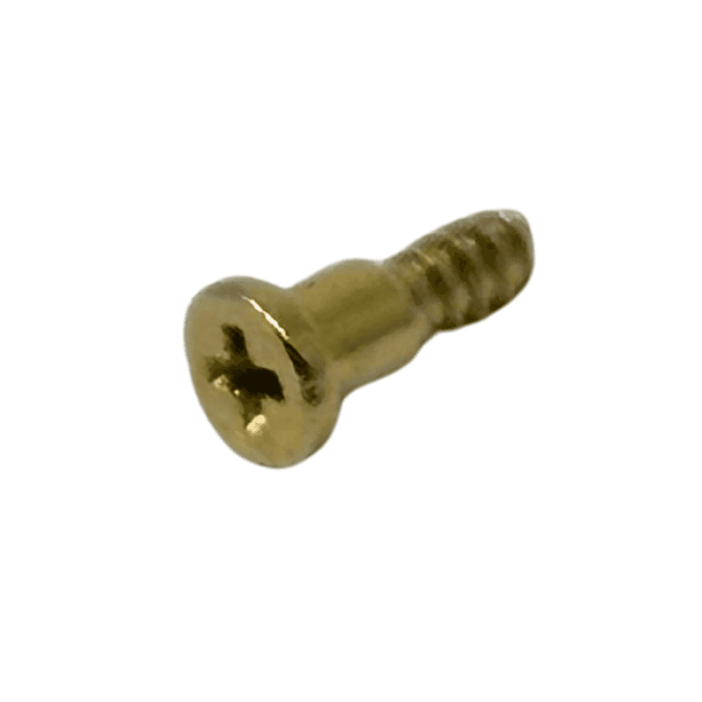 Casio Screw 10202418
