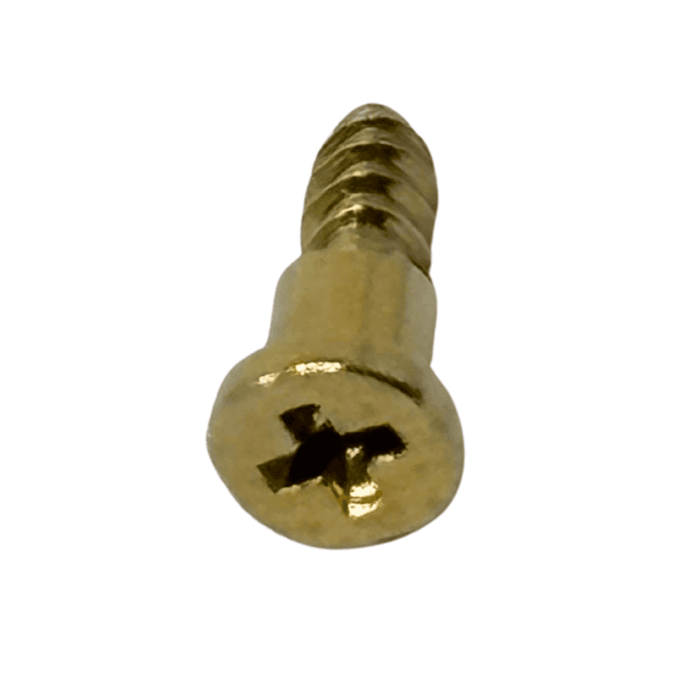 Casio Screw 10202418