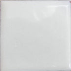 Opaque Enamel Power 25g - Antique White 1045