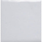 Opaque Enamel Powder 25g - White 1060