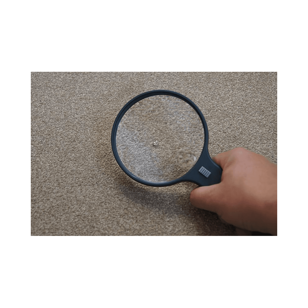 Lifemax 2-Way Hands Free LED Magnifier