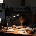 Lifemax Professional Desk Light - Black