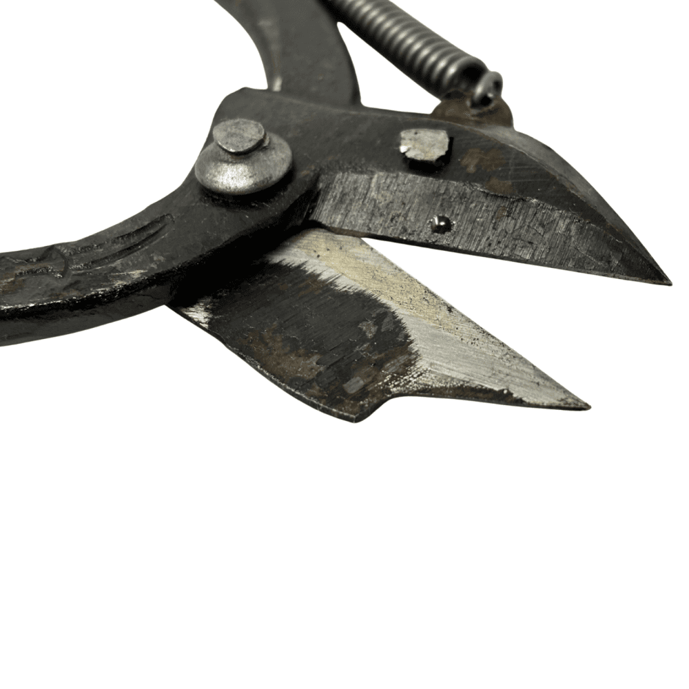 Jeweller's Cutting Shears with Outside Spring