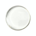 Domed Acrylic Glass for Omega - Steel Ring