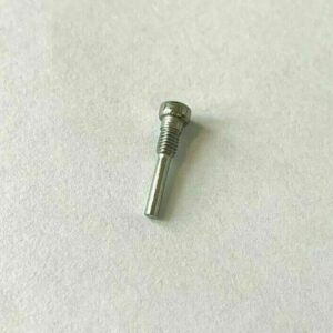 Casio Decorative Stainless Steel Screw 10345992 fits GS 1000 GS 1001 GS 1010 193638591312