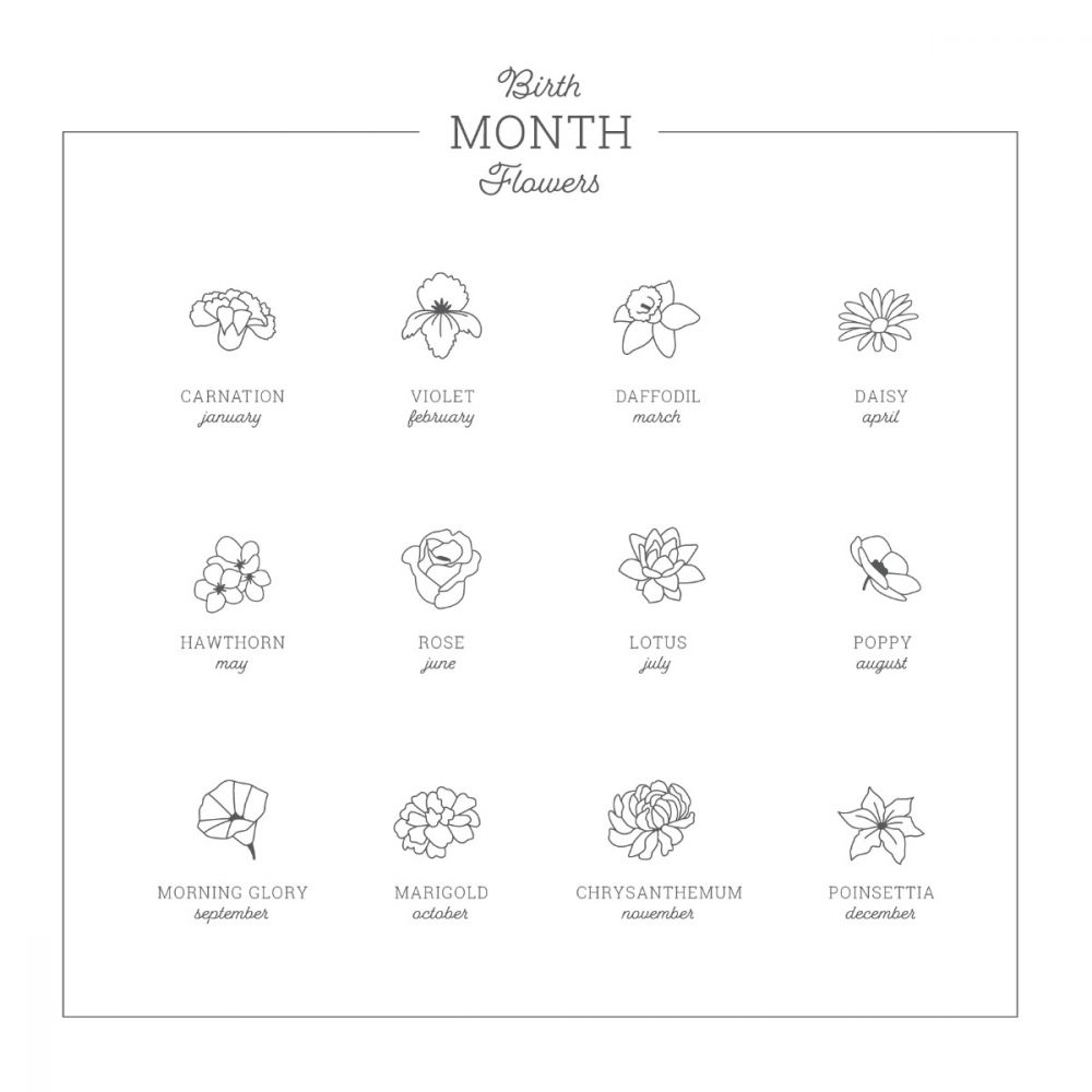 signature birth flower chart - Maddisons UK